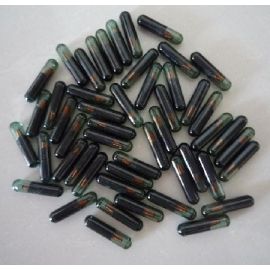 T5 ID20 Chip ( Glass)